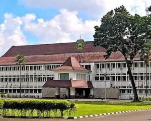 7 SKPD Pemprov Sumsel Lebih Bayar Honorarium Rp1,4 Miliar karena Tak Sesuai Perpres 33 Tahun 2020, Ini Telaah BPK